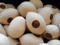 Egg Gourd Craft Ready