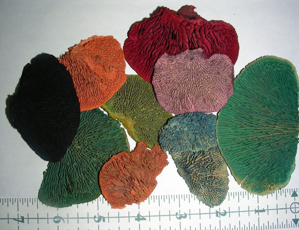 Sponge Mushroom Mixed  Colors 2 piece per package