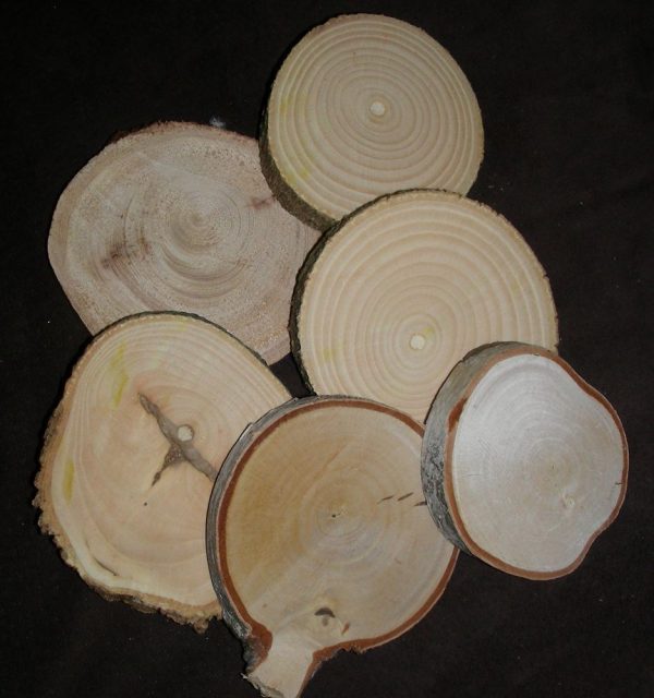 Wood Rounds 2" - 3"