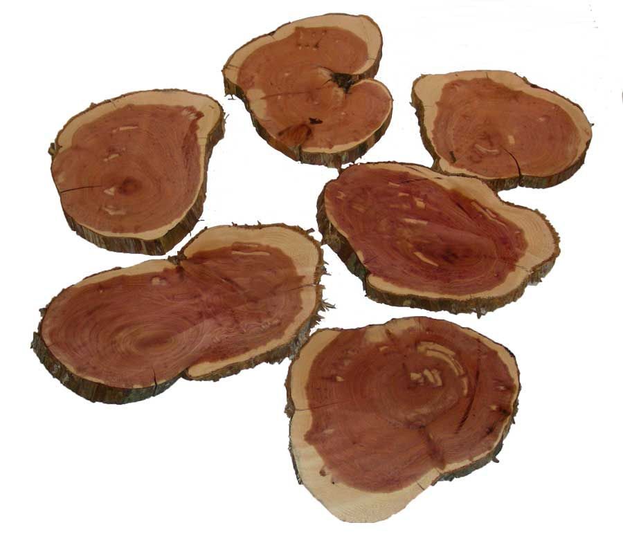 Wood Rounds Eastern Cedar 6" - 7" Wood Rounds Eastern Cedar 6" - 7"
