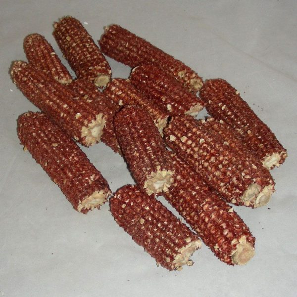 Red Corn Cob