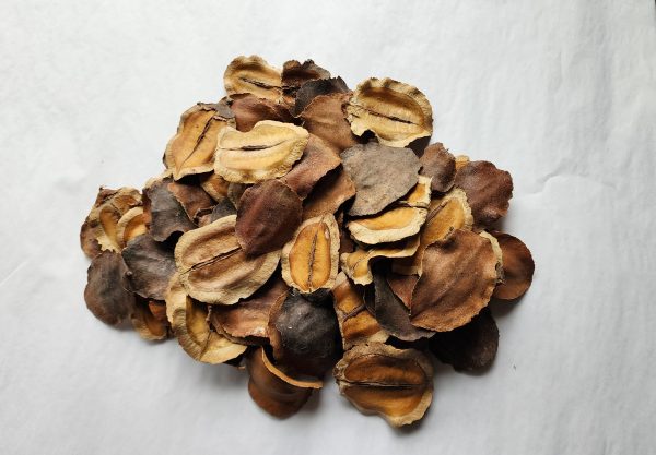 Jacuranda Pods