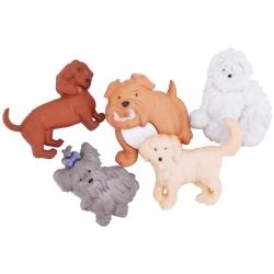 Dress It Up - Dog Gone It!