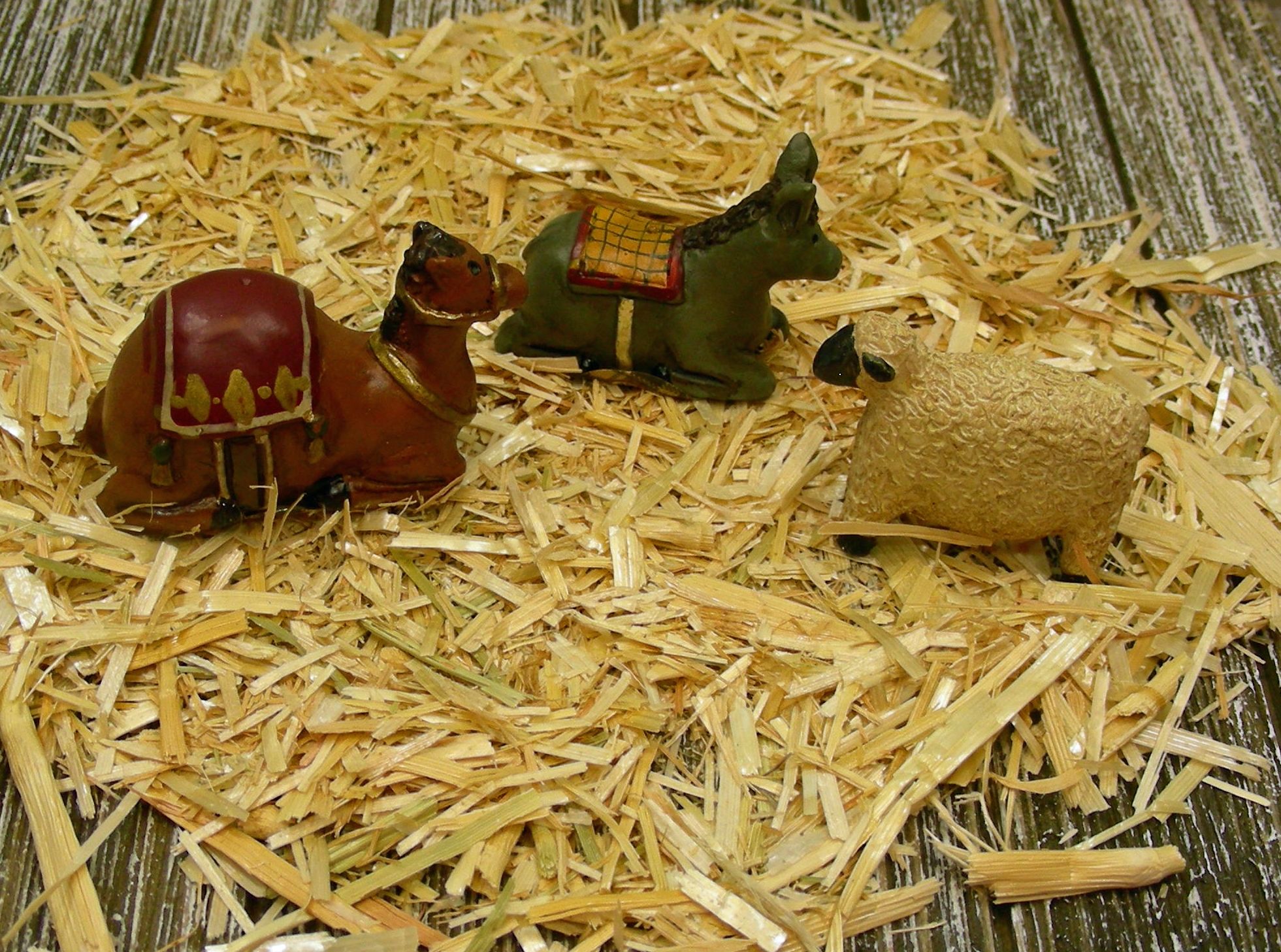 Nativity Animals