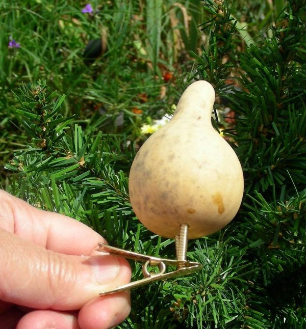 Spinnter gourd and spring clip