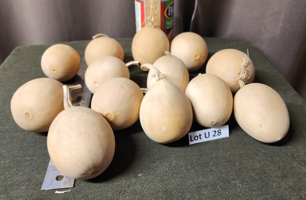 Gourd Lot U 28-1