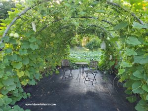 Gourd hoop frame and table