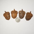 Rustic Acorns