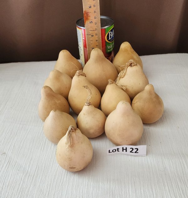 Lot H 22 a