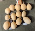 Gourd Lot V 28 -2
