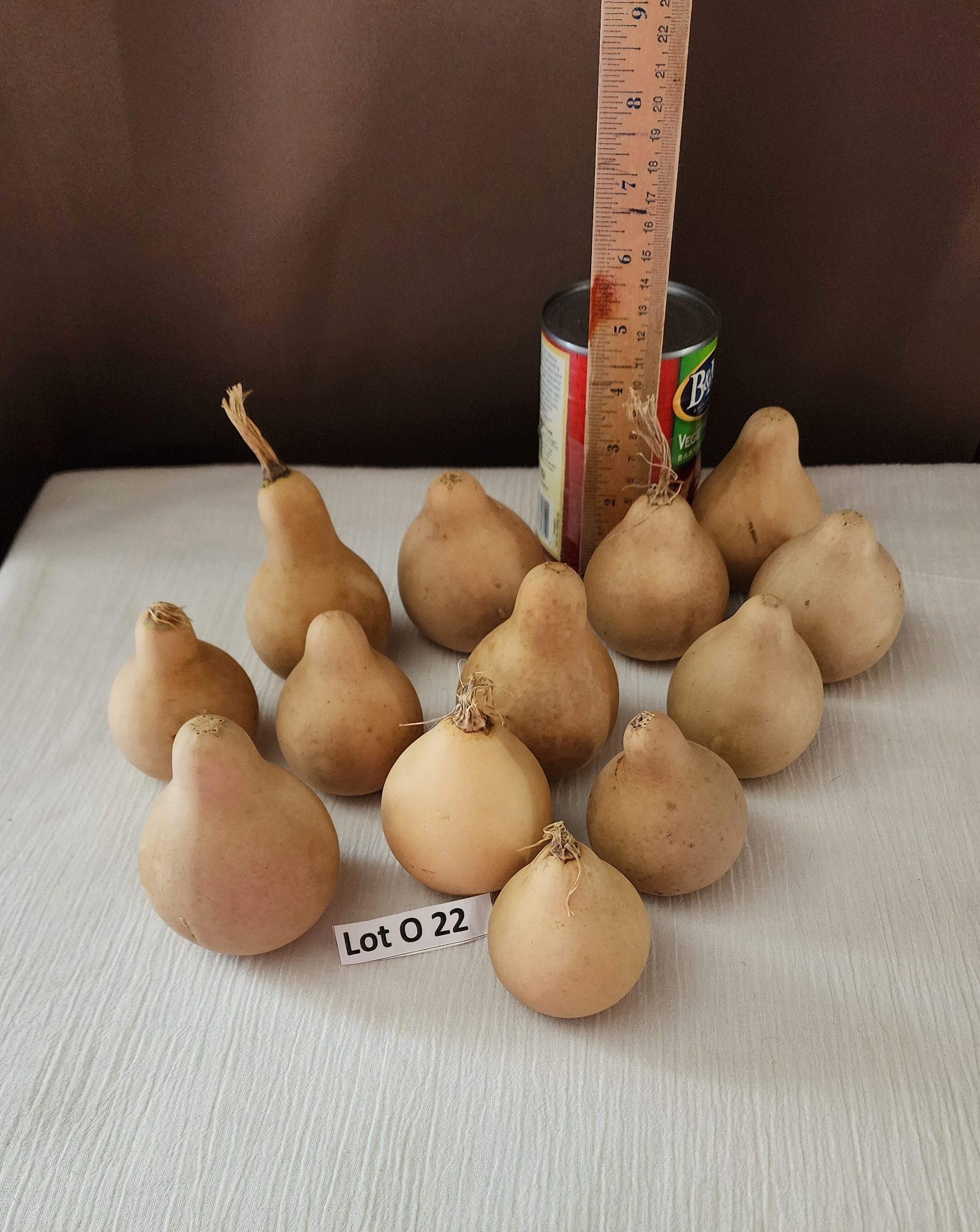 White Pear Cleaned and Ready to Decorate - Bakers Dozen - Lot O 22