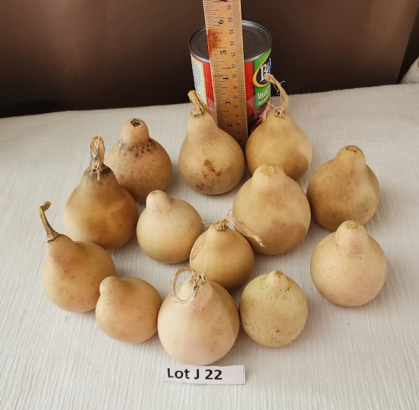 Lot J 22