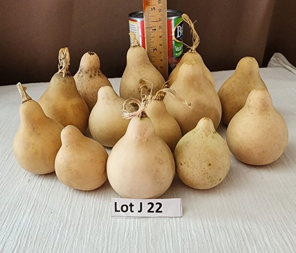 Lot J 22 a