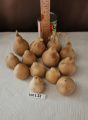 Lot L 22