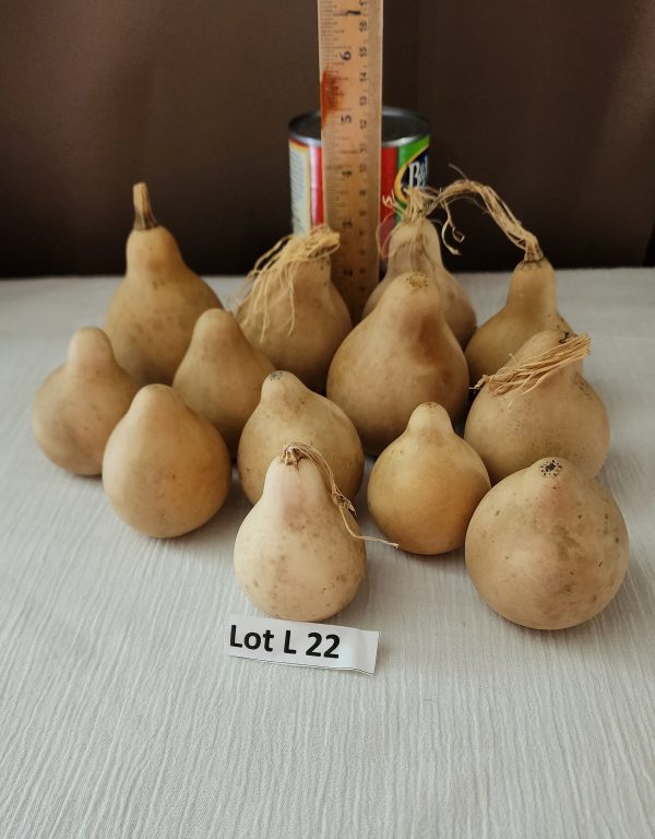 Lot L 22 a