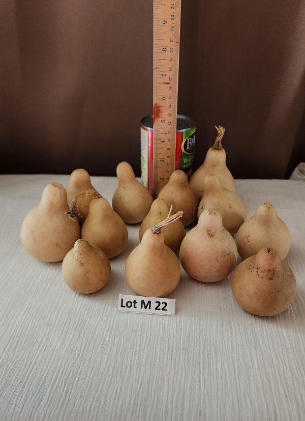 Lot M 22 a