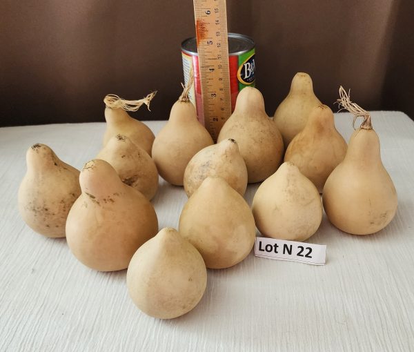 Lot N 22 a