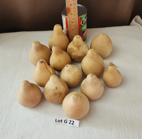 Lot g 22