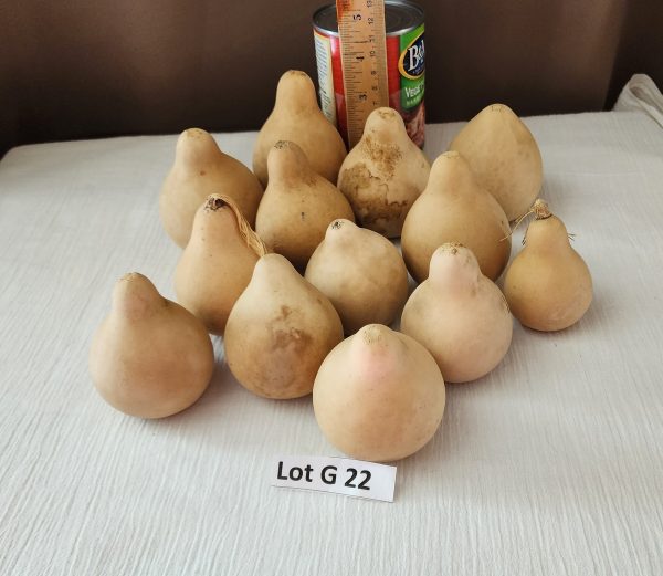 Lot g 22 a