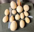 gourd Lot Q 28
